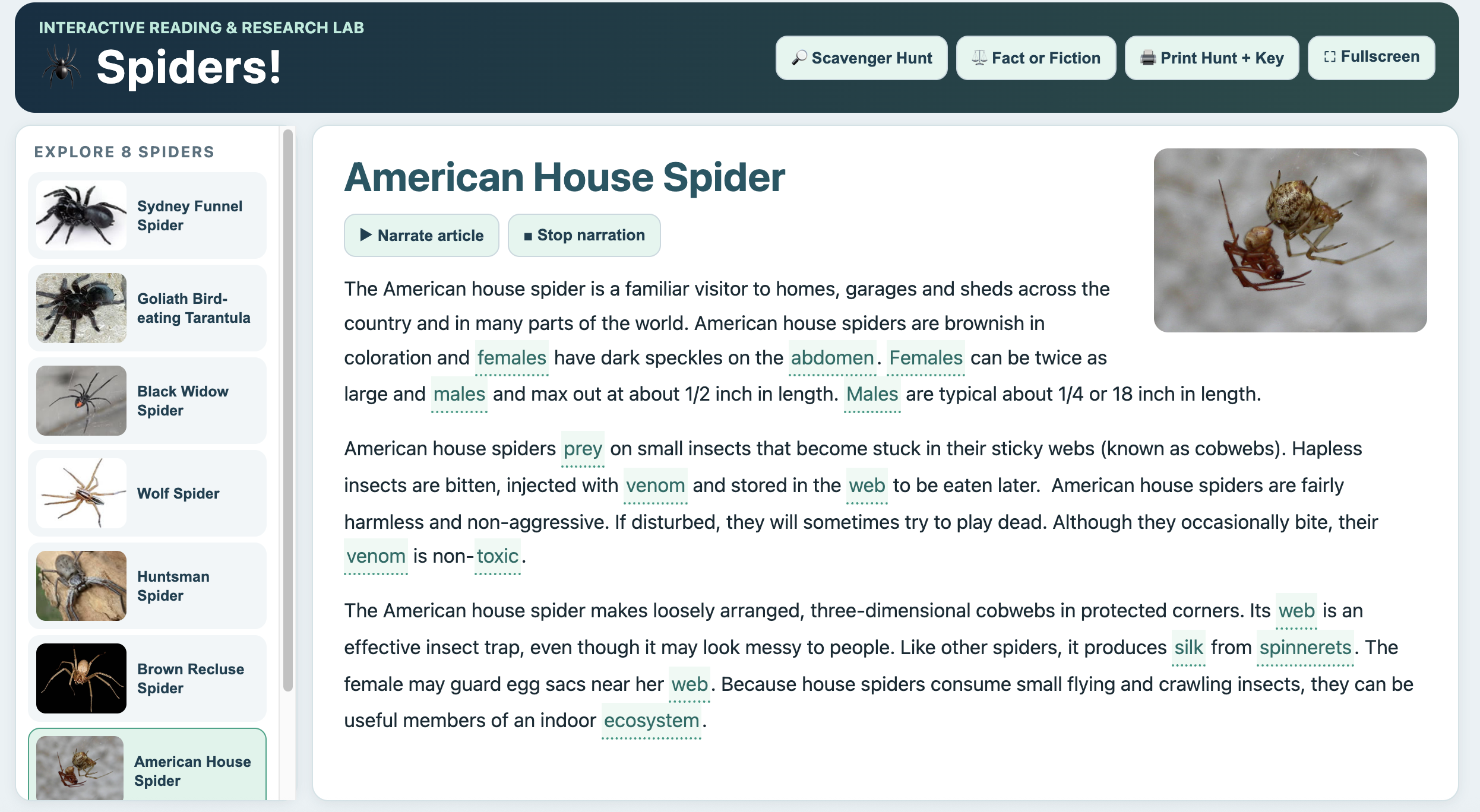 Spiders Interactive